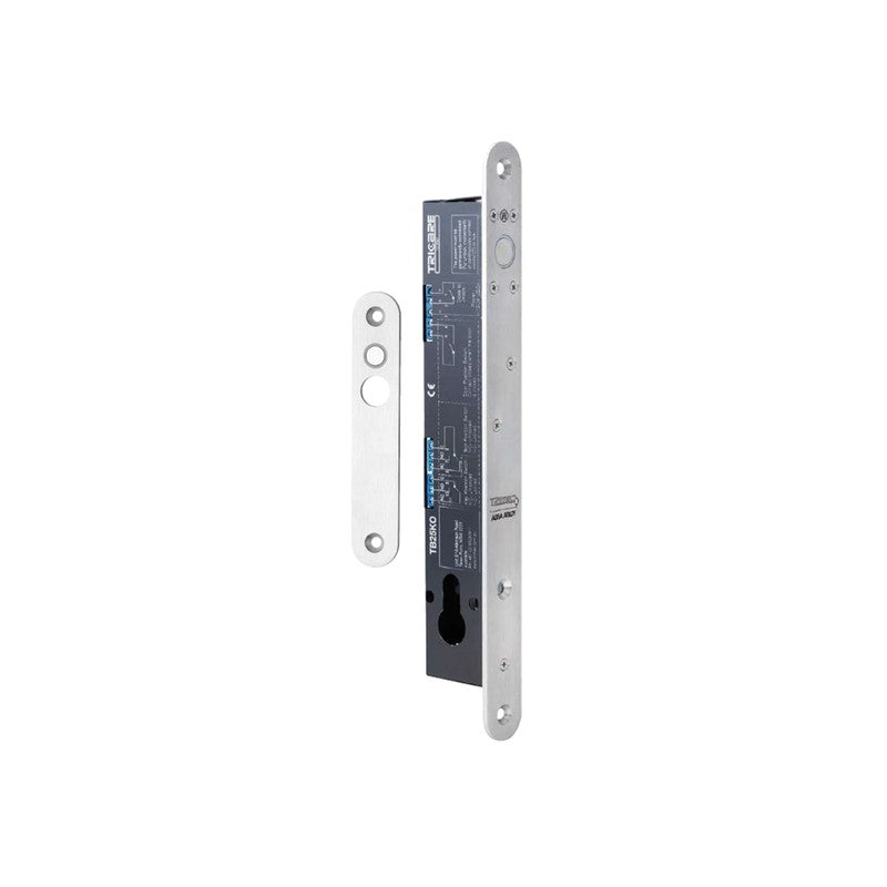 Assa Abloy Lockwood Padde Series High Security Electric Dropbolt Silver Monitored Lock Status Sensor Door Status Sensor LED Indicator Key Override 1000kg Holding Force Fail Safe/fail Secure(field Changeable) Recessed Mount No Fire Rating 12/24vdc